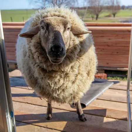 Feriegård Tiny House Hygge *